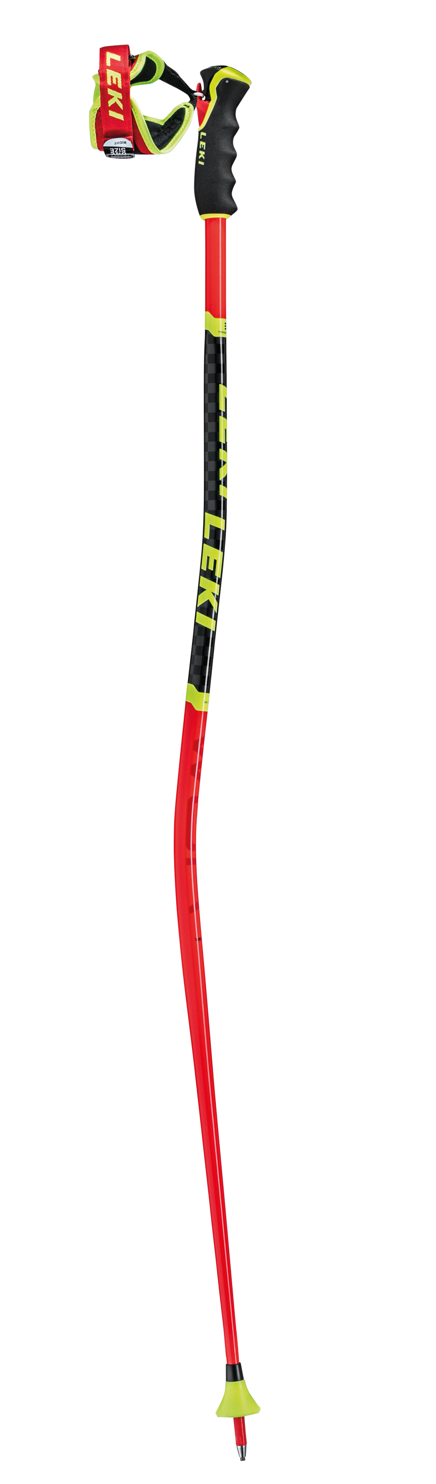 Bâtons de Ski WCR GS 3D